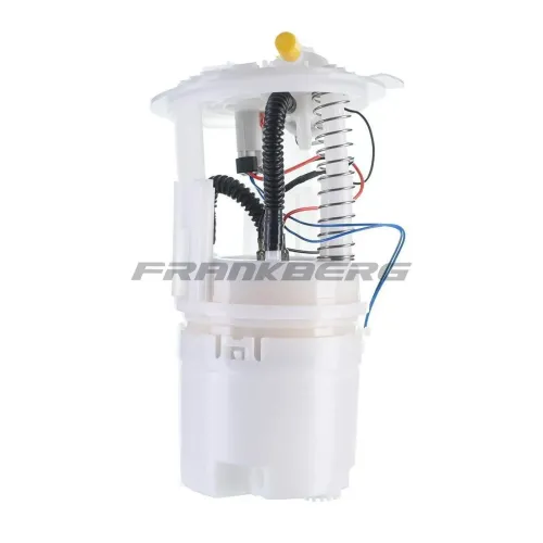 Kraftstoffpumpe Frankberg 5481FB0012856 Bild Kraftstoffpumpe Frankberg 5481FB0012856