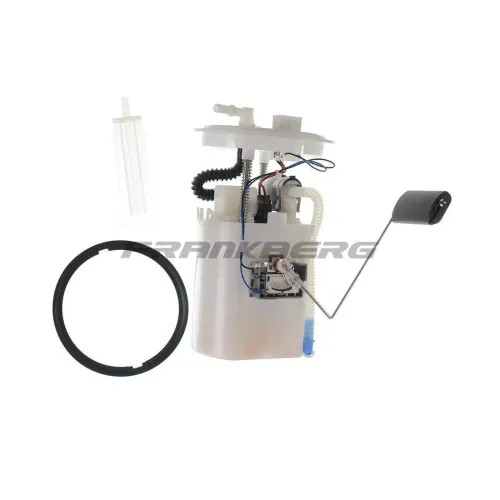 Kraftstoffpumpe Frankberg 5481FB0012862 Bild Kraftstoffpumpe Frankberg 5481FB0012862
