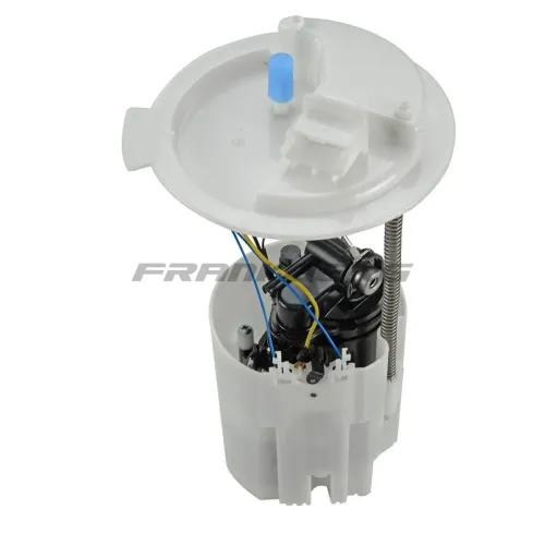 Kraftstoffpumpe im Kraftstofftank Frankberg 5481FB0012879 Bild Kraftstoffpumpe im Kraftstofftank Frankberg 5481FB0012879