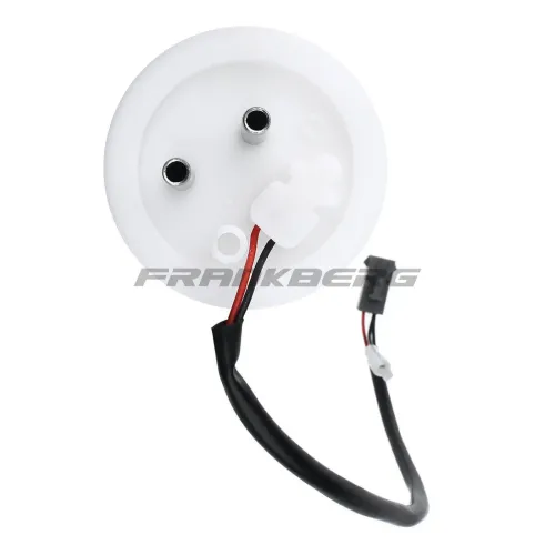 Kraftstoffpumpe Frankberg 5481FB0012881 Bild Kraftstoffpumpe Frankberg 5481FB0012881