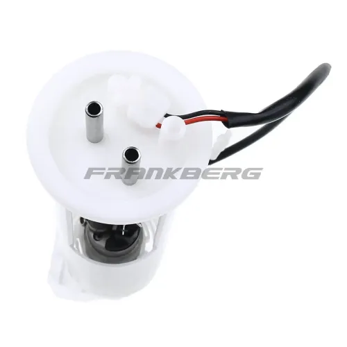 Kraftstoffpumpe Frankberg 5481FB0012881 Bild Kraftstoffpumpe Frankberg 5481FB0012881