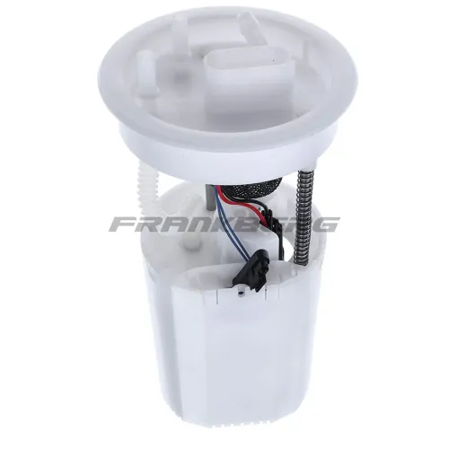 Kraftstoffpumpe Frankberg 5481FB0012885 Bild Kraftstoffpumpe Frankberg 5481FB0012885