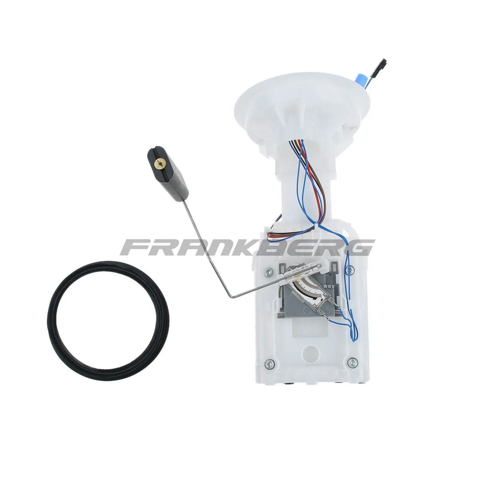 Kraftstoffpumpe im Kraftstofftank Frankberg 5481FB0012906