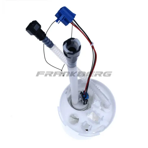 Kraftstoffpumpe 12 V rechts Frankberg 5481FB0012910 Bild Kraftstoffpumpe 12 V rechts Frankberg 5481FB0012910