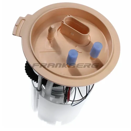 Kraftstoffpumpe 12 V im Kraftstofftank Frankberg 5481FB0012919 Bild Kraftstoffpumpe 12 V im Kraftstofftank Frankberg 5481FB0012919