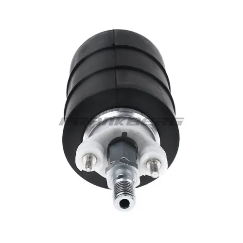 Kraftstoffpumpe im Kraftstofftank Frankberg 5481FB0012939 Bild Kraftstoffpumpe im Kraftstofftank Frankberg 5481FB0012939