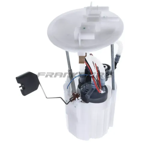 Kraftstoffpumpe Frankberg 5481FB0012940 Bild Kraftstoffpumpe Frankberg 5481FB0012940