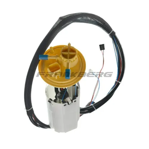 Kraftstoffpumpe Frankberg 5481FB0012998 Bild Kraftstoffpumpe Frankberg 5481FB0012998