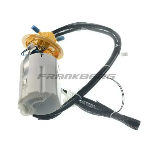 Kraftstoffpumpe Frankberg 5481FB0012999 Bild Kraftstoffpumpe Frankberg 5481FB0012999