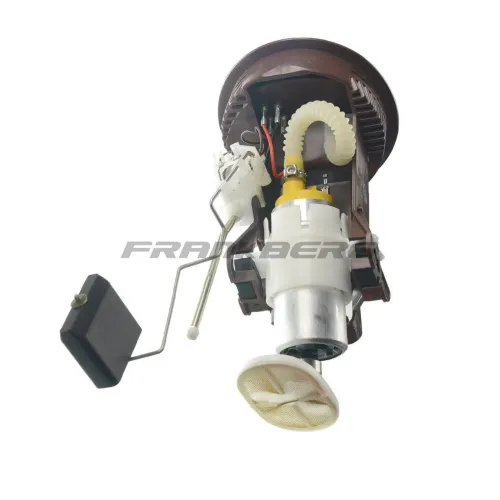 Kraftstoffpumpe Frankberg 5481FB0013004 Bild Kraftstoffpumpe Frankberg 5481FB0013004
