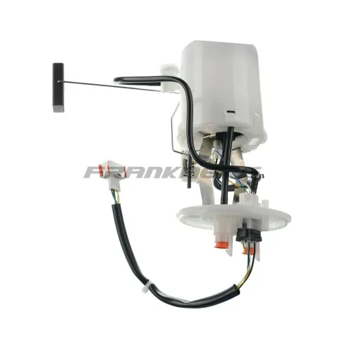 Kraftstoffpumpe Frankberg 5481FB0013005 Bild Kraftstoffpumpe Frankberg 5481FB0013005