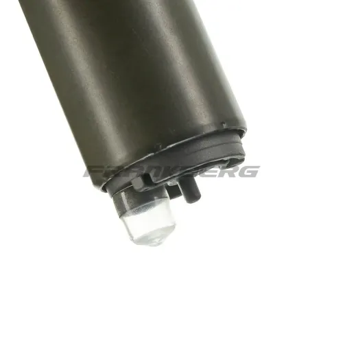 Kraftstoffpumpe Frankberg 5481FB0013010 Bild Kraftstoffpumpe Frankberg 5481FB0013010