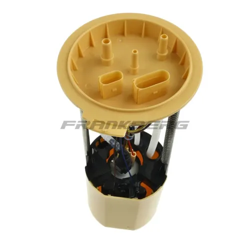 Kraftstoffpumpe 12 V Frankberg 5481FB0013029 Bild Kraftstoffpumpe 12 V Frankberg 5481FB0013029