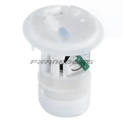 Kraftstoffpumpe 12 V Frankberg 5481FB0013053 Bild Kraftstoffpumpe 12 V Frankberg 5481FB0013053