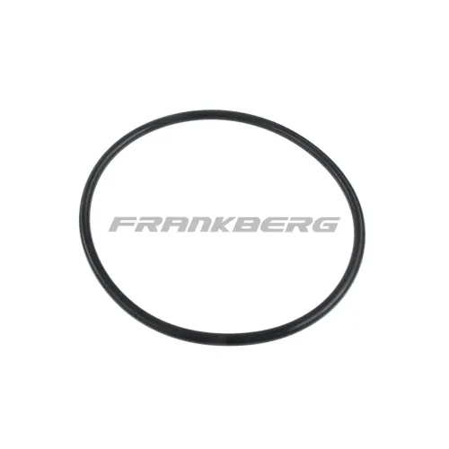 Kraftstoffpumpe 12 V Frankberg 5481FB0013061 Bild Kraftstoffpumpe 12 V Frankberg 5481FB0013061