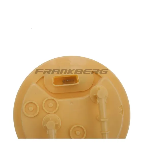 Kraftstoffpumpe Frankberg 5481FB0013070 Bild Kraftstoffpumpe Frankberg 5481FB0013070