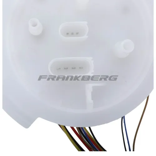 Kraftstoffpumpe 12 V Frankberg 5481FB0013115 Bild Kraftstoffpumpe 12 V Frankberg 5481FB0013115