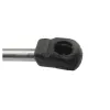 Gasfeder, Motorhaube Frankberg 5481FB0013510 Bild Gasfeder, Motorhaube Frankberg 5481FB0013510