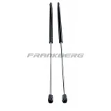 Gasfeder, Heckscheibe Frankberg 5481FB0013632