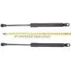 Gasfeder, Heckscheibe Frankberg 5481FB0013754 Bild Gasfeder, Heckscheibe Frankberg 5481FB0013754