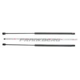 Gasfeder, Koffer-/Laderaum Frankberg 5481FB0013793