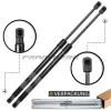 Gasfeder, Koffer-/Laderaum Frankberg 5481FB0013807