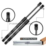 Gasfeder, Heckscheibe Frankberg 5481FB0013909