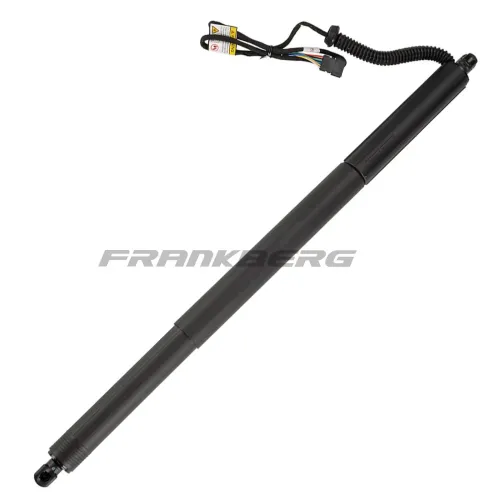 Gasfeder, Koffer-/Laderaum Frankberg 5481FB0017678 Bild Gasfeder, Koffer-/Laderaum Frankberg 5481FB0017678