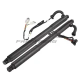 Gasfeder, Koffer-/Laderaum Frankberg 5481FB0017681