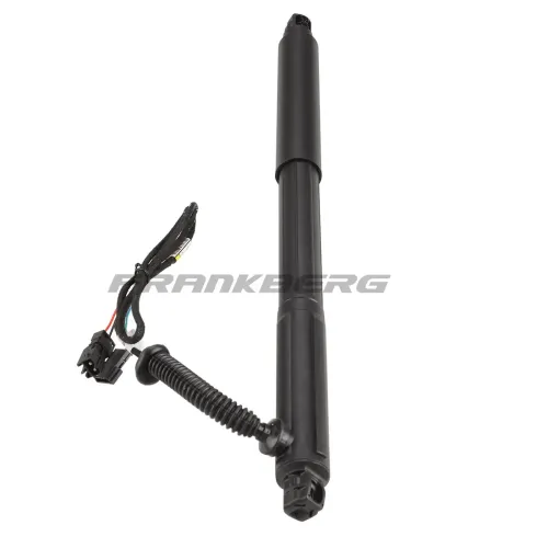 Gasfeder, Koffer-/Laderaum Frankberg 5481FB0017681 Bild Gasfeder, Koffer-/Laderaum Frankberg 5481FB0017681