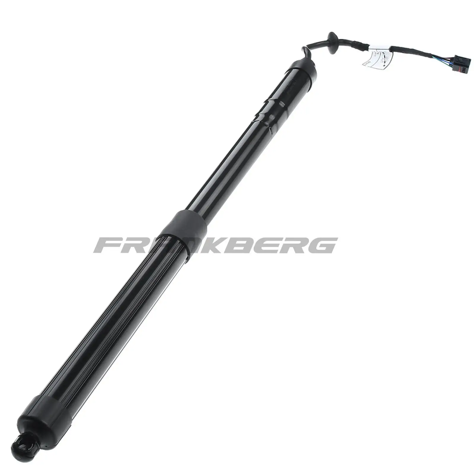 Gasfeder, Koffer-/Laderaum Frankberg 5481FB0017721