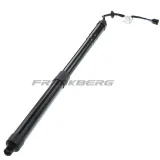 Gasfeder, Koffer-/Laderaum Frankberg 5481FB0017721