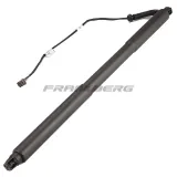 Gasfeder, Koffer-/Laderaum Frankberg 5481FB0017740