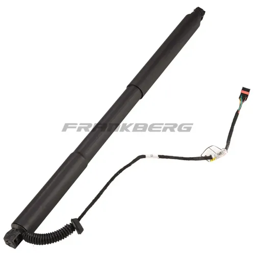 Gasfeder, Koffer-/Laderaum Frankberg 5481FB0017740 Bild Gasfeder, Koffer-/Laderaum Frankberg 5481FB0017740