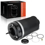 Luftfeder, Fahrwerk Vorderachse beidseitig Frankberg 5481FB0002143