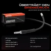 Bremsschlauch Hinterachse beidseitig Frankberg 5481FB0004353 Bild Bremsschlauch Hinterachse beidseitig Frankberg 5481FB0004353