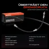 Bremsschlauch Vorderachse beidseitig Frankberg 5481FB0004381 Bild Bremsschlauch Vorderachse beidseitig Frankberg 5481FB0004381