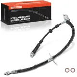 Bremsschlauch Vorderachse links Frankberg 5481FB0004393