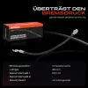 Bremsschlauch Hinterachse rechts Frankberg 5481FB0004437 Bild Bremsschlauch Hinterachse rechts Frankberg 5481FB0004437