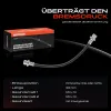 Bremsschlauch Hinterachse beidseitig Frankberg 5481FB0004454 Bild Bremsschlauch Hinterachse beidseitig Frankberg 5481FB0004454
