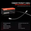 Bremsschlauch Hinterachse beidseitig Frankberg 5481FB0004466 Bild Bremsschlauch Hinterachse beidseitig Frankberg 5481FB0004466