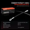 Bremsschlauch Hinterachse beidseitig Frankberg 5481FB0004468 Bild Bremsschlauch Hinterachse beidseitig Frankberg 5481FB0004468