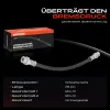 Bremsschlauch Hinterachse rechts Frankberg 5481FB0004513 Bild Bremsschlauch Hinterachse rechts Frankberg 5481FB0004513