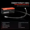 Bremsschlauch Vorderachse beidseitig Frankberg 5481FB0004545 Bild Bremsschlauch Vorderachse beidseitig Frankberg 5481FB0004545