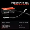 Bremsschlauch Hinterachse beidseitig Frankberg 5481FB0004554 Bild Bremsschlauch Hinterachse beidseitig Frankberg 5481FB0004554