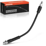 Bremsschlauch Hinterachse beidseitig Frankberg 5481FB0004560