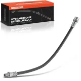 Bremsschlauch Vorderachse beidseitig Frankberg 5481FB0004651