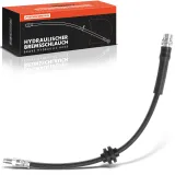 Bremsschlauch Hinterachse beidseitig Frankberg 5481FB0004667