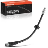 Bremsschlauch Hinterachse beidseitig Frankberg 5481FB0004671