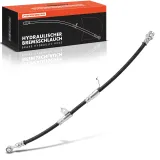 Bremsschlauch Vorderachse rechts Frankberg 5481FB0004682